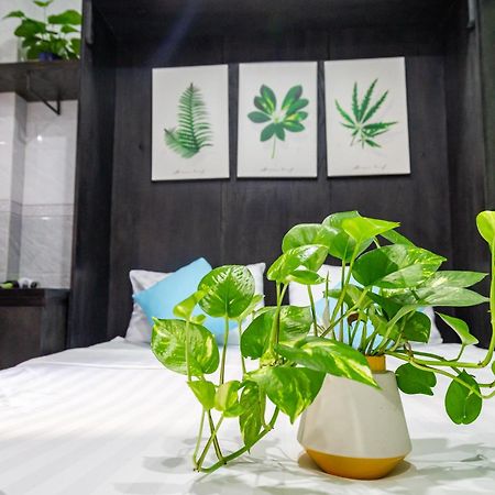 Cola'S Homestay Ho Chi Minh-staden Exteriör bild